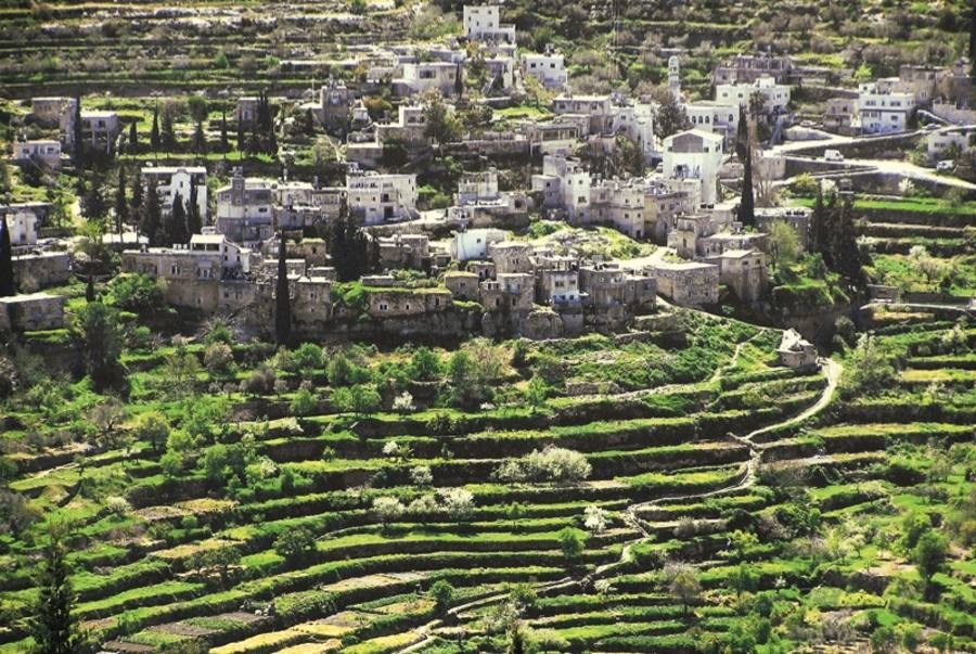 Filistin'de Battir köyünün yeşil taş tarım terasları ve evleri